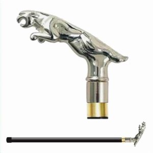 Cane Sword with Metal Handle